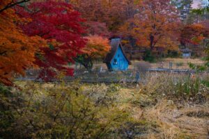 つや姫を子供に与える際の安全な食べ方は？