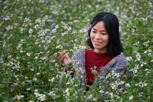 楽天で買える5kgのお米のおすすめは？