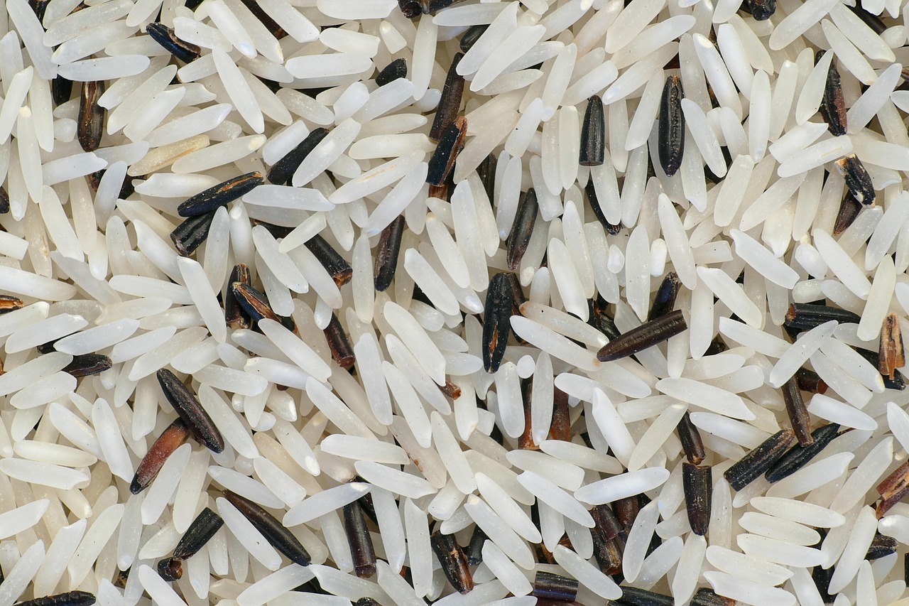 お米の冷蔵保存期間はどれくらいが理想なの？