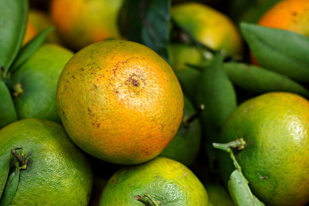 オーガニック米を使った子供向けの安心レシピは？