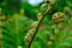 子育てに最適なお米は無添加でどれを選ぶべき？