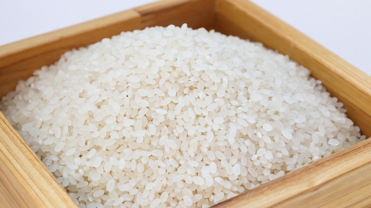 楽天で家族におすすめのお米のコスパは？