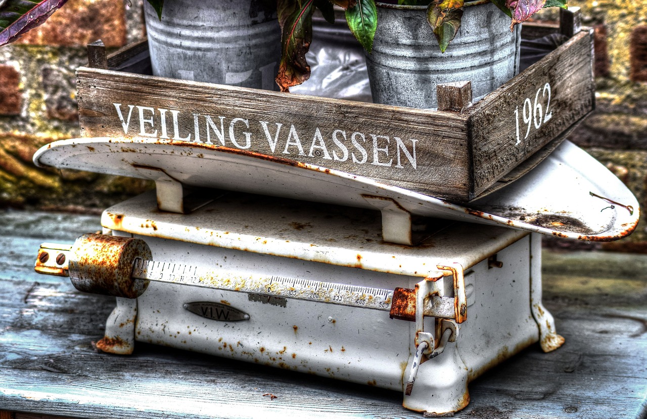 ハーフサイズのお米5kgはどこで購入できる？