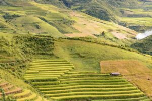 炊き込みご飯のレシピは子供が喜ぶ簡単な作り方は？