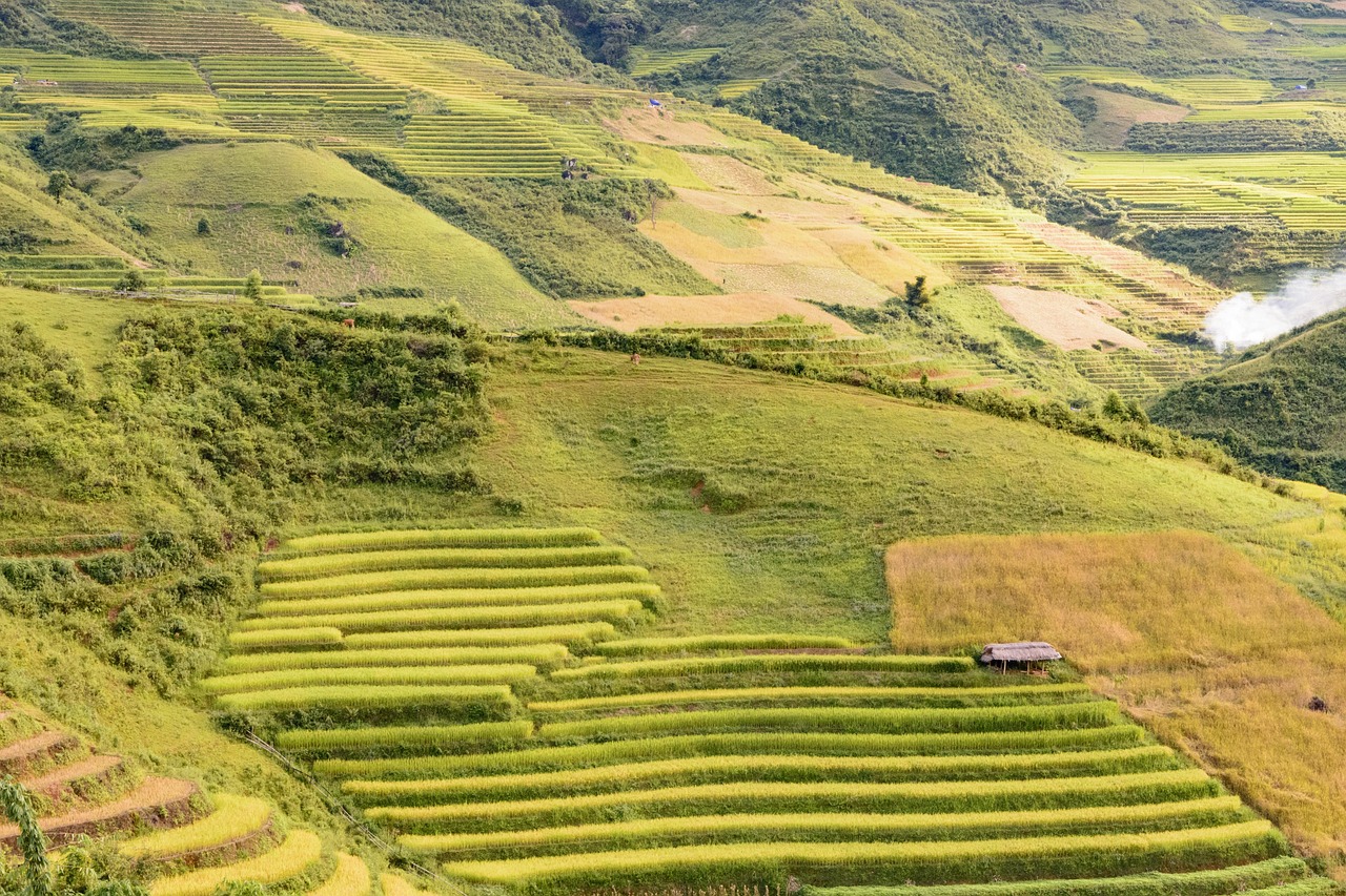 炊き込みご飯のレシピは子供が喜ぶ簡単な作り方は？