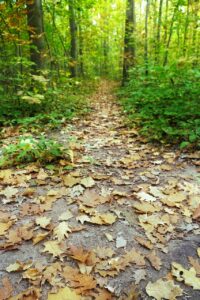 鉄分補給に最適な子供向けの米レシピは？