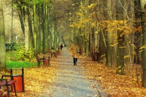 鉄分豊富ブレンド米の健康効果とおすすめの食べ方は？