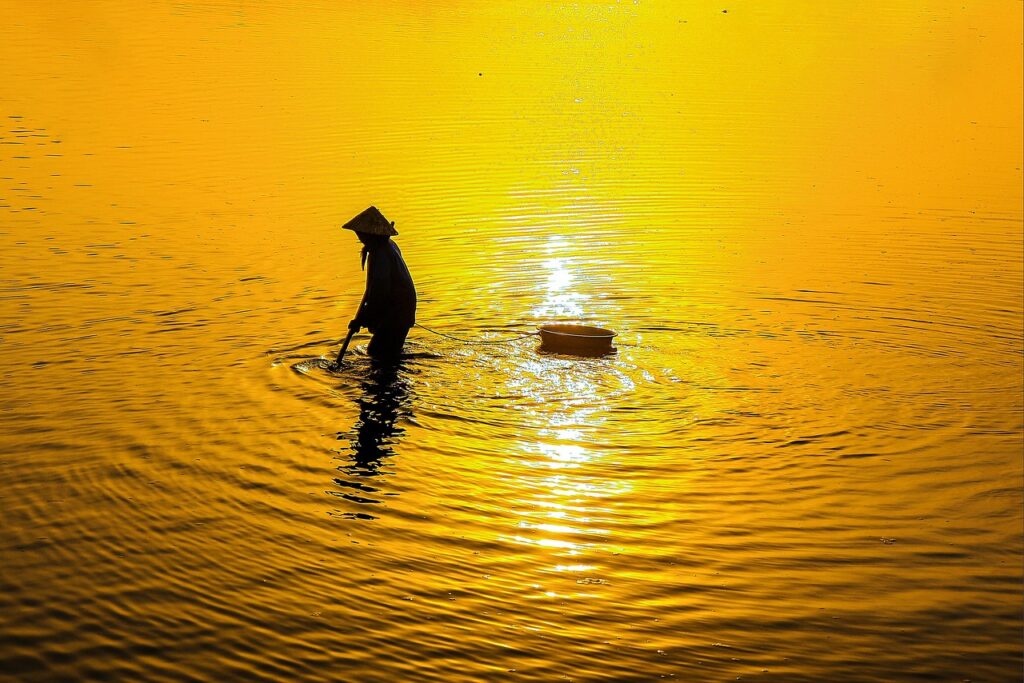 お米を使った離乳食のアレルギー対策に関する情報は？