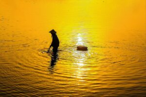 お米を使った離乳食のアレルギー対策に関する情報は？