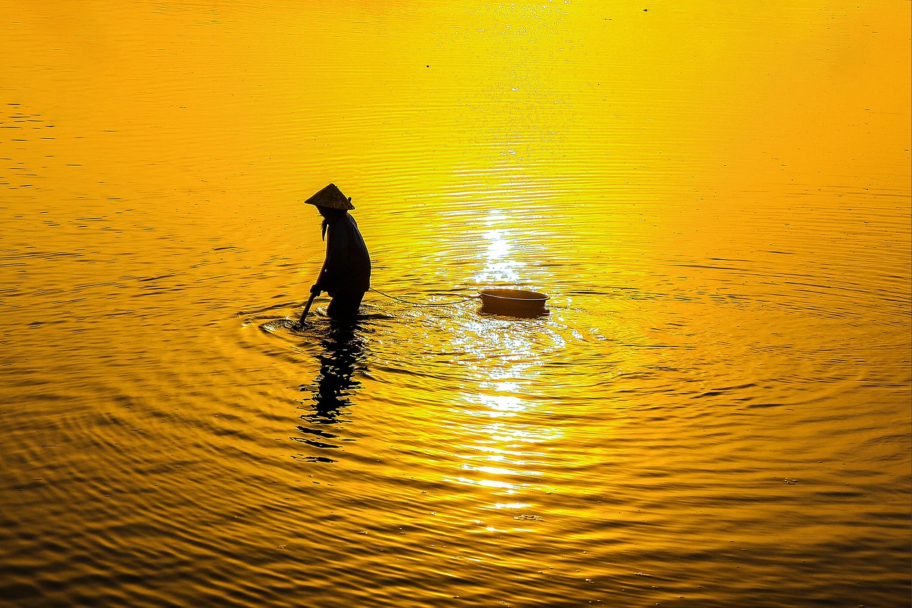 お米を使った離乳食のアレルギー対策に関する情報は？