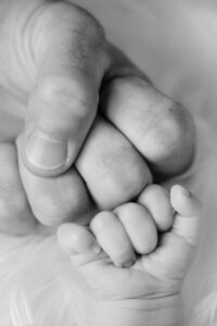 楽天で家族向けに人気のお米はどれですか？