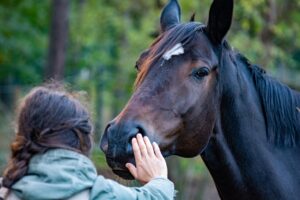 楽天で家族向けの高評価のお米はどれ？